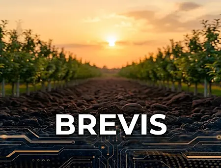 alt_Brevis