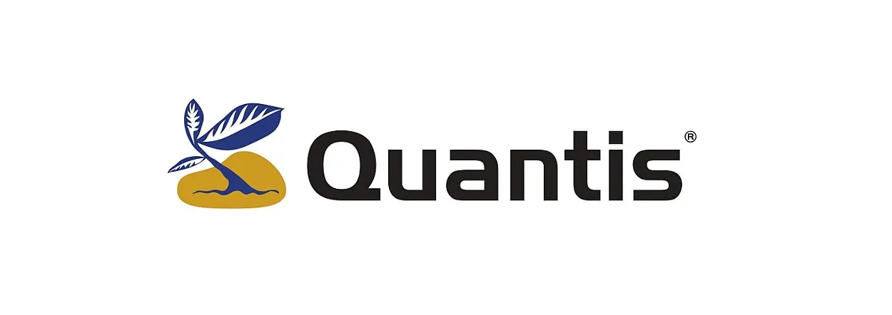 Quantis